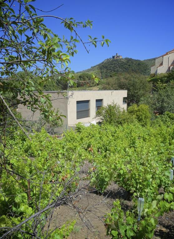 Le Clos Saint Elme * Collioure